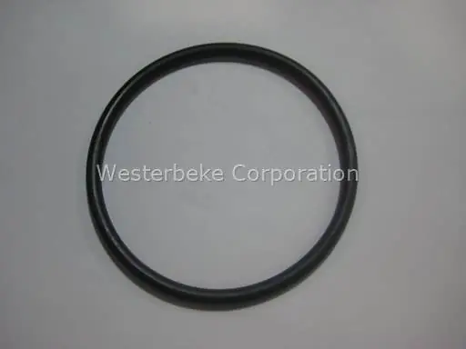 While Supplies Last Universal, O-Ring, 302842